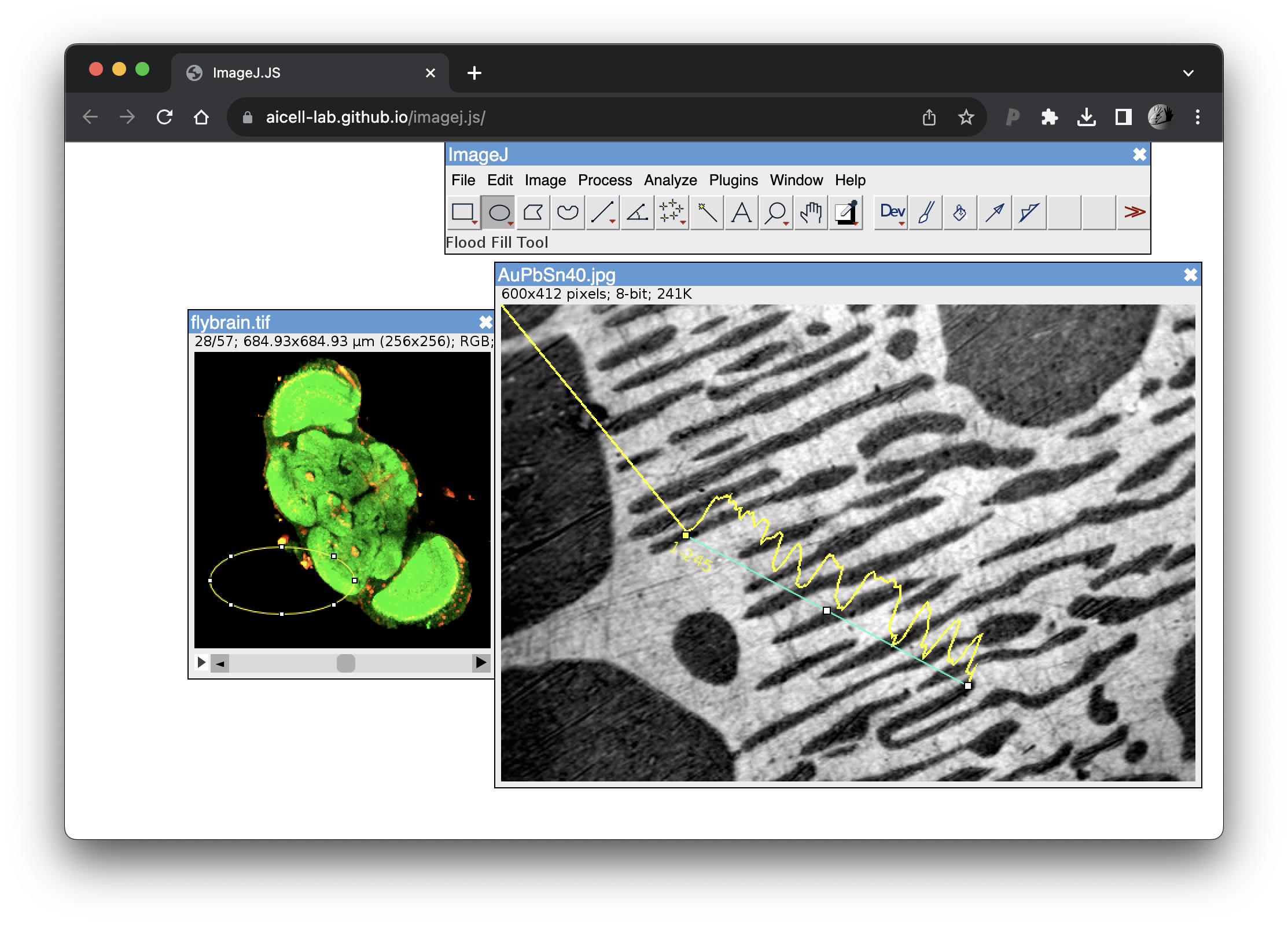 Quick Tutorial For Using Imagej