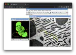 Taking ImageJ.JS to the Next Level