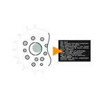 Lab Newsletter — July 14, 2026: AI Learns the Language of the Lab