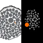 Lab Newsletter — July 26, 2026: Cells in Context