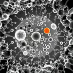 Lab Newsletter — July 29, 2026: Seeing the Cell's Machines