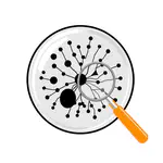 Lab Newsletter — August 2, 2026: The Cell That Shows Its Work