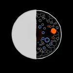 Lab Newsletter — August 6, 2026: The Stain You Never Applied