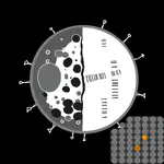 Lab Newsletter — August 10, 2026: One Cell, Two Answers