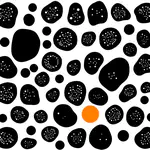 Lab Newsletter — August 13, 2026: The Cell's Neighborhood