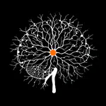 Lab Newsletter — August 23, 2026: Wiring the Brain