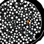 Lab Newsletter — September 1, 2026: The Tissue, in Forty Colors