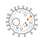 Lab Newsletter — September 18, 2026: Where Proteins Live