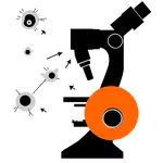 Lab Newsletter — September 25, 2026: Reading a Cell's Future from Live Images