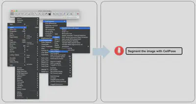 Software UI and Codex|690x365