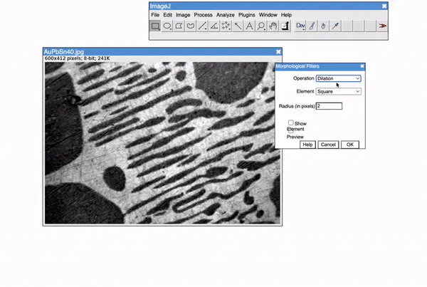 ImageJ.JS — ImageJ in Your Browser